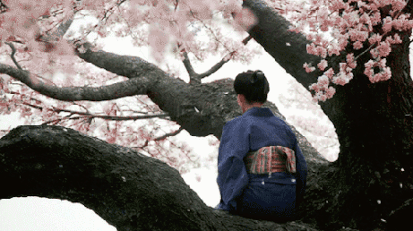 tumblr_nskorftwwz1thkk1qo2_500