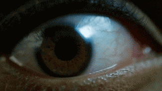 tumblr_mxtxvwwigt1qkxw76o1_500