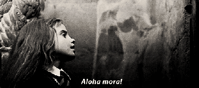 2969205941_1_27_qbjiduun