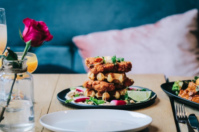 india-rosa-brunch_11