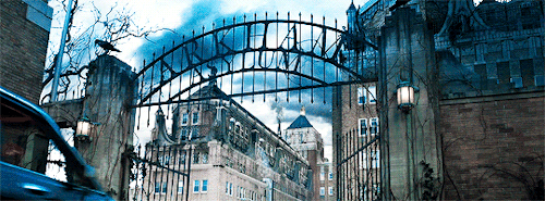 tumblr_omk8c1mkad1v08u1wo3_500