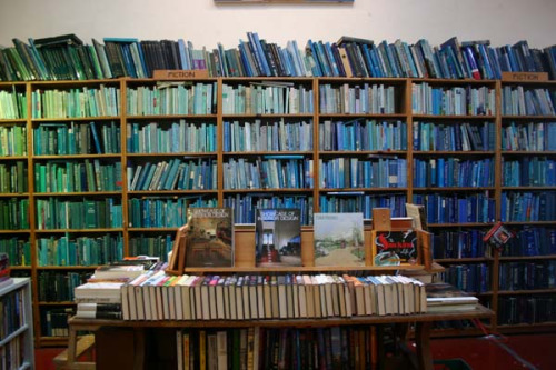 tumblr_mhpxs545bo1ro74x3o4_500