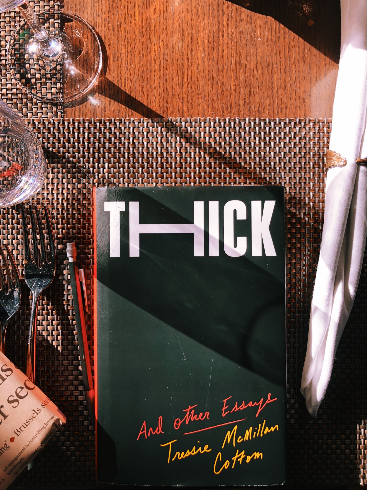 Image result for thick and other essays cover