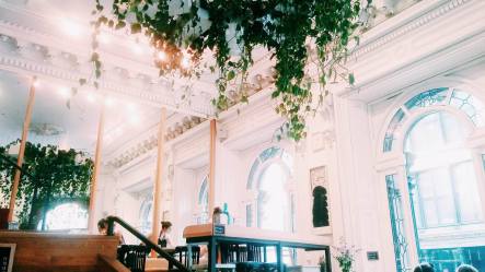 14248033_10154723718397780_651077726_o