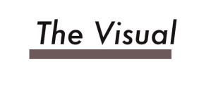thevisual